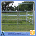 Tall Horse Entrance Panel supplier